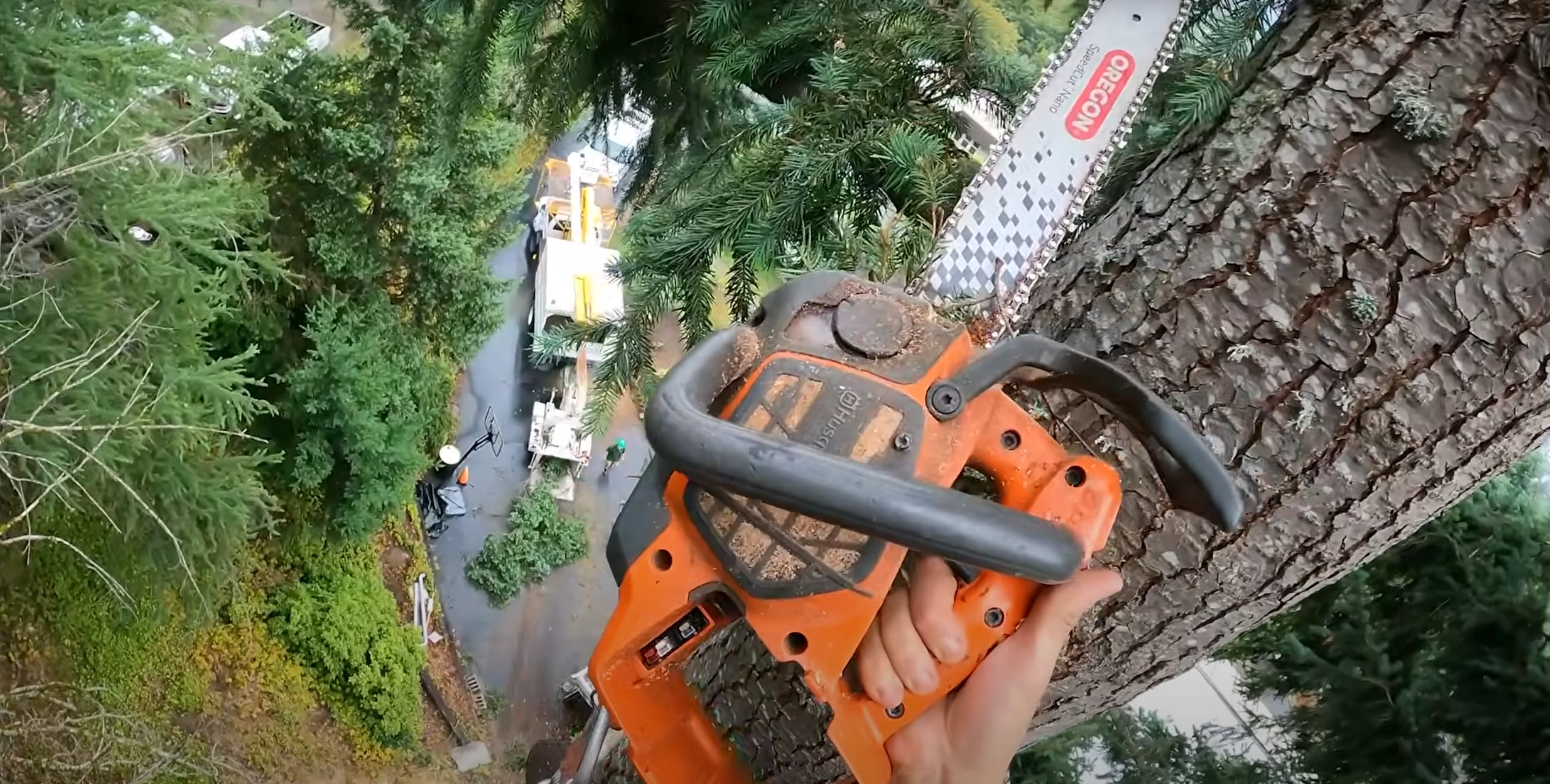 Emergency tree service with chainsaw for urgent tree removal needs